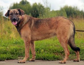 S����� - ��������� �������� ���� ���! (����)