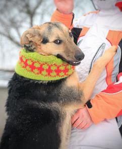 Мальва ищет дом!