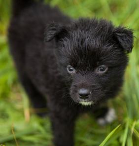 ����� ������� �����!