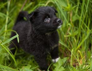 ����� ������� �����!