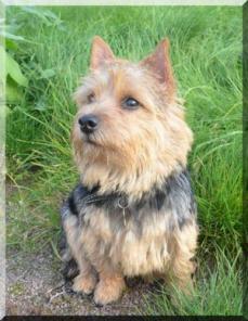 ����� ������ �������, ����������� �������