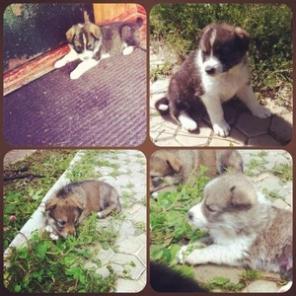 ����� ������ � ������ ����