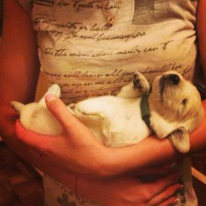 ����� ����������� ���������