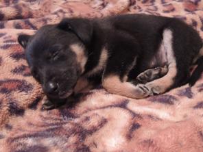 ������ ����� � ���.