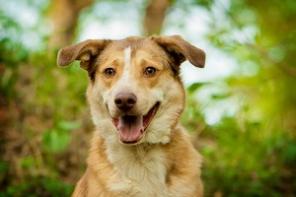 ���� ����� ���� ���