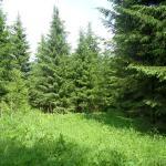 ������ ������� � �. ������