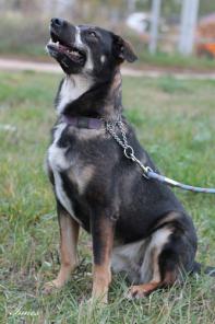 Рада - море энергии и радости в вашем доме!