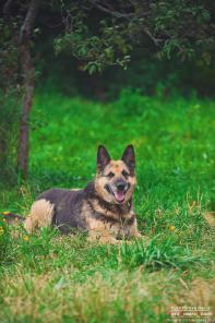 ������� ����� ���� ������� �������