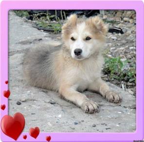 ���-��������� �����!