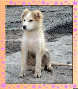 ���-��������� �����!