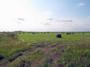 ������������� ������� � �������� �����.