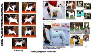 �������������� ����������