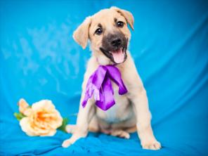 ����� �������� �����!