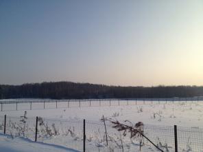 ������� ������� � �. �����������, ���������� ������