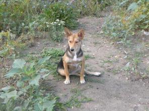 ���e��a ��e� ce�e ������x xo��e�