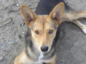 ���e��a ��e� ce�e ������x xo��e�