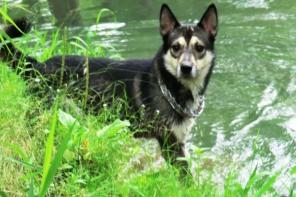 ����� ������ - ����� �����.