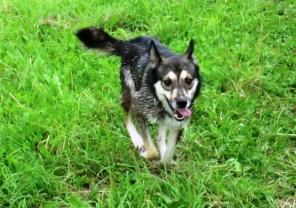 ����� ������ - ����� �����.