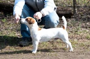 ������ ��� �����. ���� ������� ���