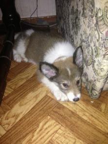 ����� ������ ������� � ������ ����!