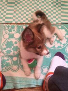 ����� ������ ������� � ������ ����!