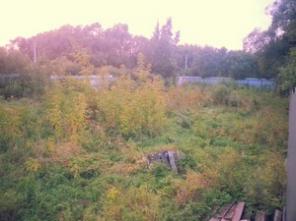 ������� 12 ����� 35 �� �� ����. ������ ������