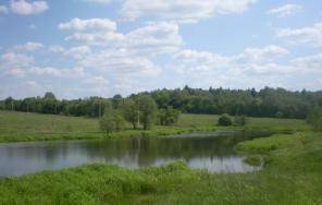 ����������� �. 50 ���. � ���� � ���������