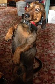 ������� ���� ������ ��������� ������ � ���