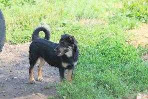 ��������� � ���