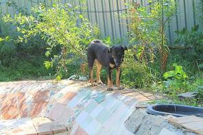 ��������� � ���