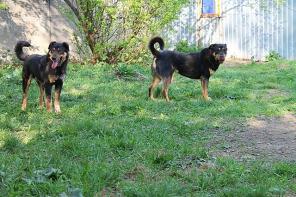 ������ ���������� ������ � ������ � ������ ����.