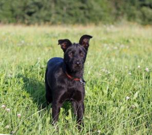 ������� ������� ����� ������� � ����� ����!