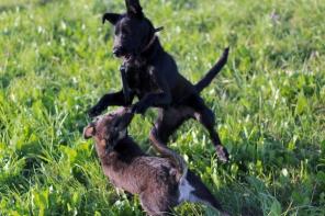 ������� ������� ����� ������� � ����� ����!