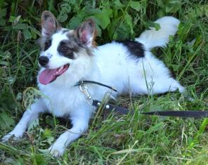 ���� ����� ������!