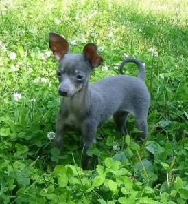 ������� ��� ������- ���� ����� ������� ������