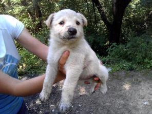 ����� ������� � ���