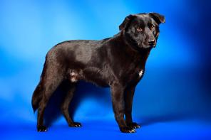 ������ - ������� ����� ���������.