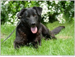 ������ - ������� ����� ���������.