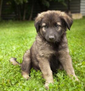 �������� �������� ����� � ���