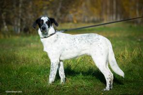 ��������� ����: ����� �������� � ��� (1���)