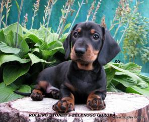 ����� ����� ����������� ��������������