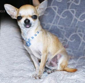 �������� ������ ���������� ���. �������� ��� �����