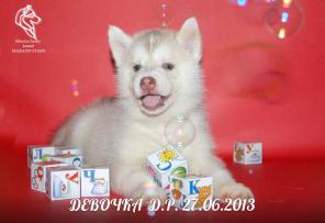 ����� �����