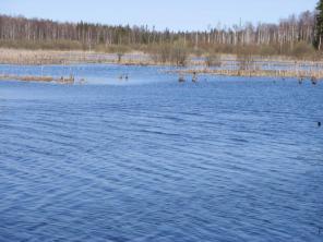 ������� ��������� ������� 468 ��