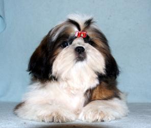 ����� ��-���