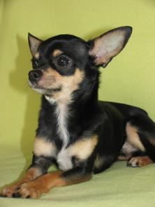 ���� ������ �������� ���������� �� �����.