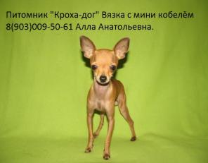 �����. ����� ��������� ������ ��� ������� ���������� ���.