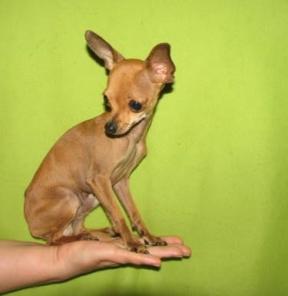 �����. ����� ��������� ������ ��� ������� ���������� ���.