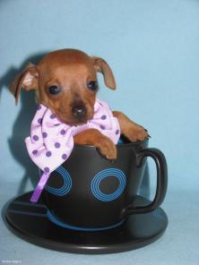 ���� � �����-���� ����� ��� �������.