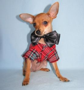 ���� � �����-���� ����� ��� �������.